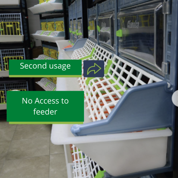 No Access to feeder.png